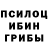 Галлюциногенные грибы прущие грибы OSS Headquarters