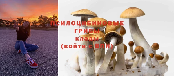 скорость Алзамай