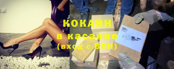 стафф Алексин