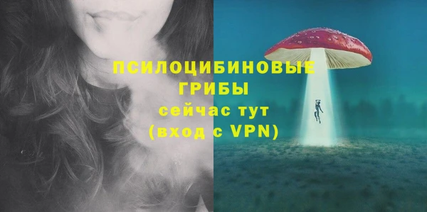 скорость Алзамай