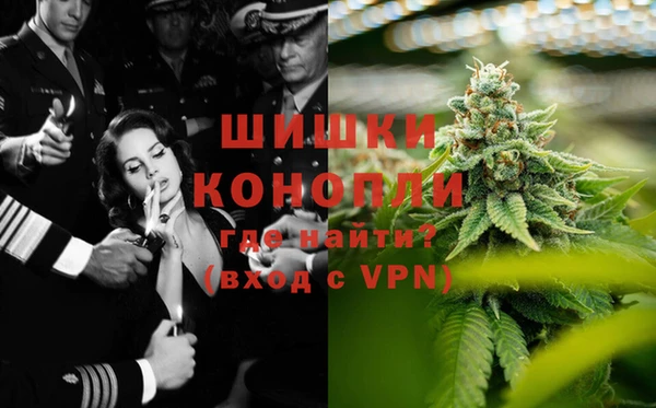 стафф Алексин