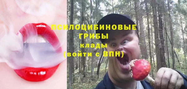 стафф Алексин