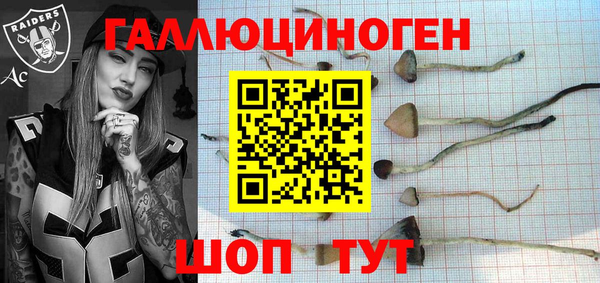 Галлюциногенные грибы прущие грибы  Галлюциногенные грибы Psilocybe  Вход с VPN  Белореченск 